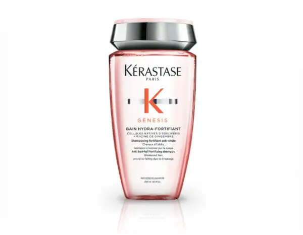 Karastasa